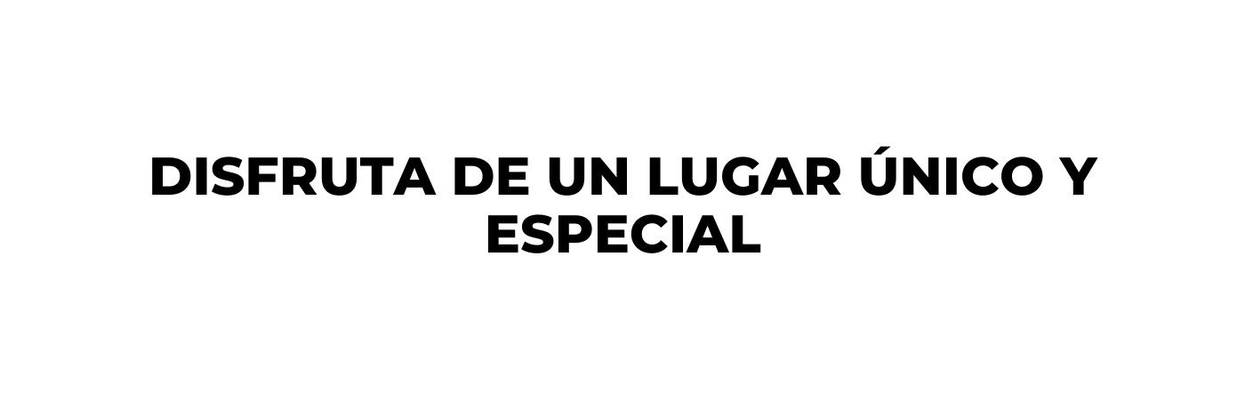 Disfruta de un lugar único y especial